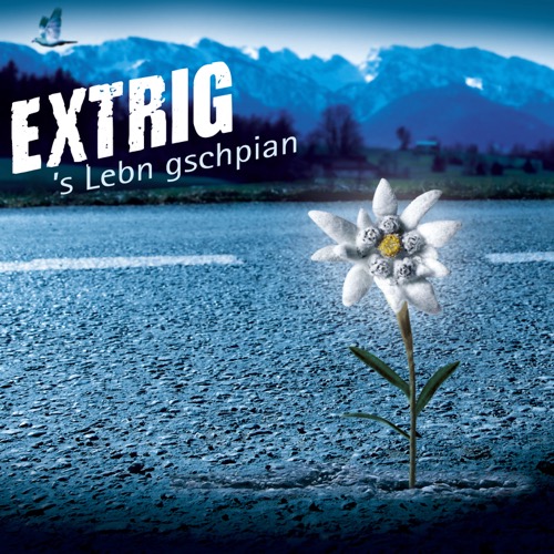 EXTRIG - ´s Lebn gschpian (Album)